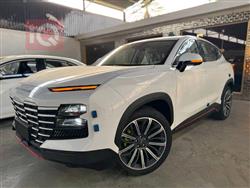 جیتۆر داشينگ